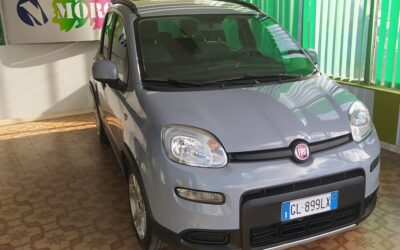 FIAT PANDA HYBRID CITY LIFE
